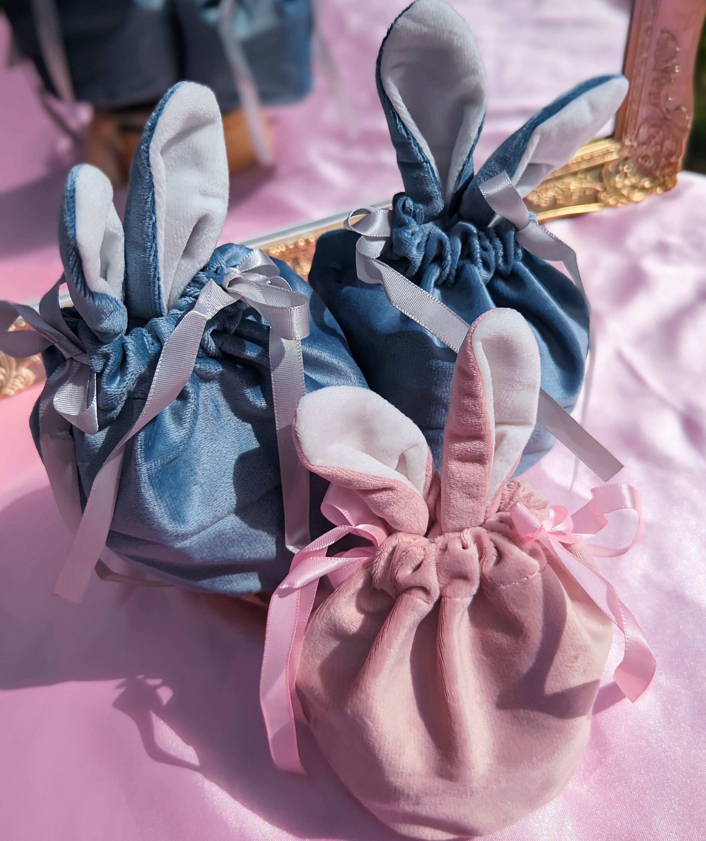 Velvet Pouch Purse